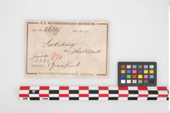 Etikett zu Bronzegehänge (NHMW-PRAE-026291)